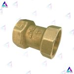 شیر یکطرفه (مینی چک ولو) ''1 RBM PN25
